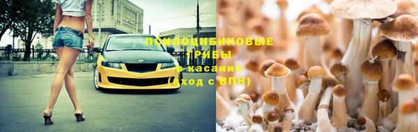 трава Гусиноозёрск