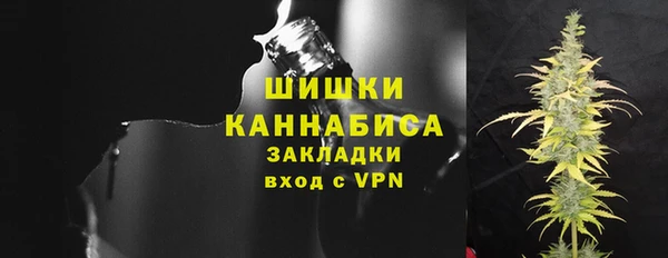 трава Гусиноозёрск