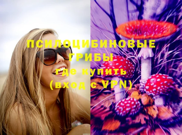 синтетический гашиш Горнозаводск