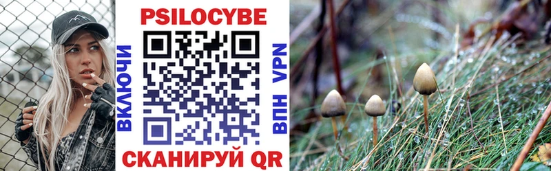 даркнет сайт  Нефтеюганск  Псилоцибиновые грибы MAGIC MUSHROOMS 